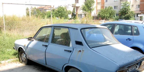 Hunedoara: Somaţie pentru rable: amendă sau la cimitir