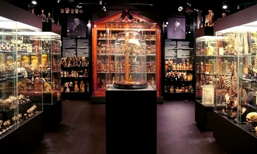 Şapte muzee ciudate de vizitat în Amsterdam jpeg