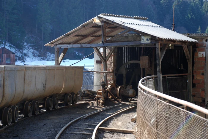 Ortacul a fost rănit chiar la ieşirea din schimb.                                          Foto: Sandrinio Neagu