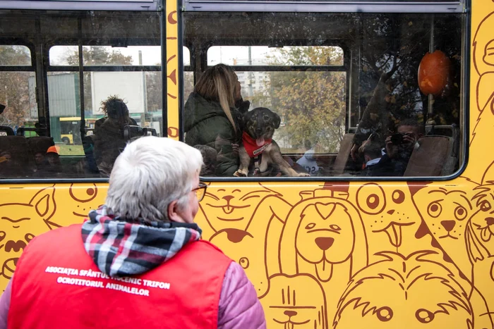 Tramvai. Foto: arhiva.