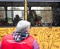 tramvai iasi proprietari animale 04 foto Mihai Chirica jpg