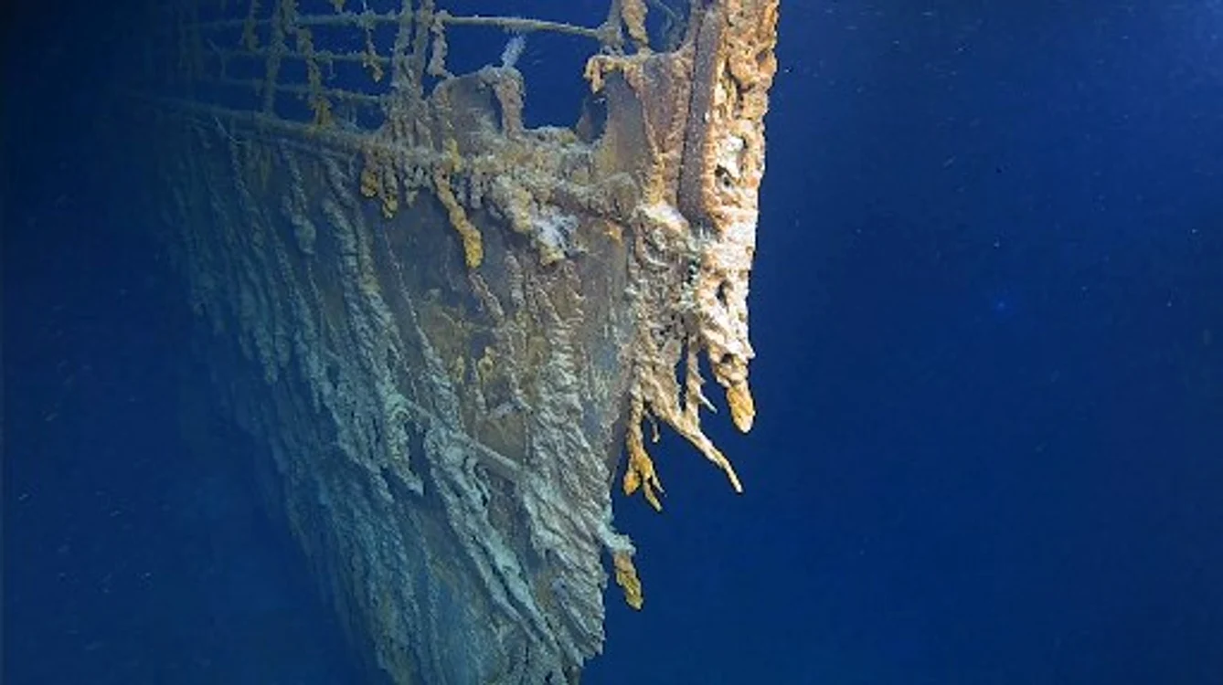 Imaginile au fost capturate la circa trei kilometri sub suprafaţa oceanului FOTO AFP