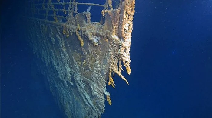 Imaginile au fost capturate la circa trei kilometri sub suprafaţa oceanului FOTO AFP