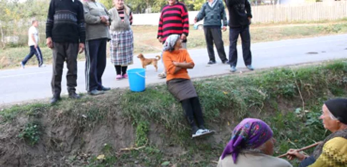 Iaşi: Parc în inima pădurii