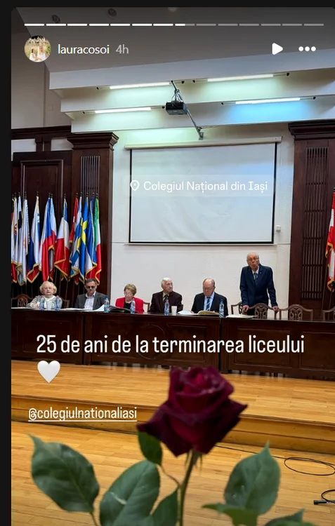Imaginea postată de Laura Cosoi. Foto: captură Instagram