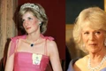 Printesa Diana, Camilla, Charles, foto Pinterest jpg