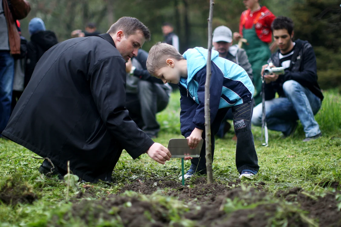 Ce sector din București va planta în următorul an peste 40.000 de arbori