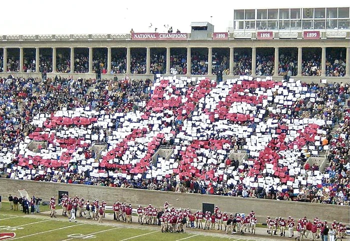 Aşa ar fi trebuit să arate coregrafia promisă