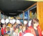 expozitie galleria