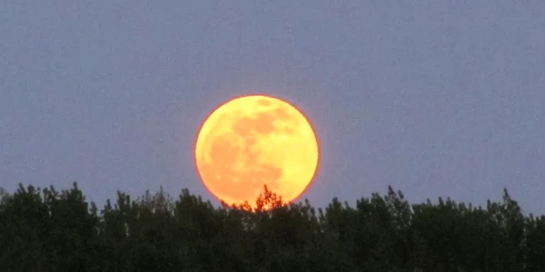 calarasi luna roz