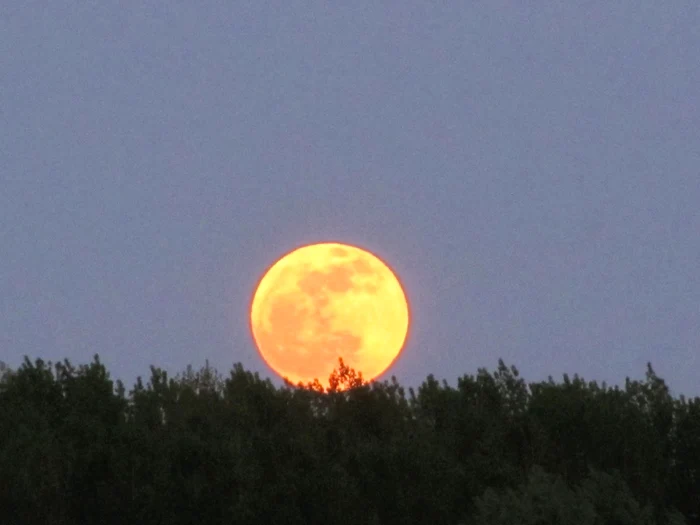 Fenomenul este unul deosebit Foto:Adevărul