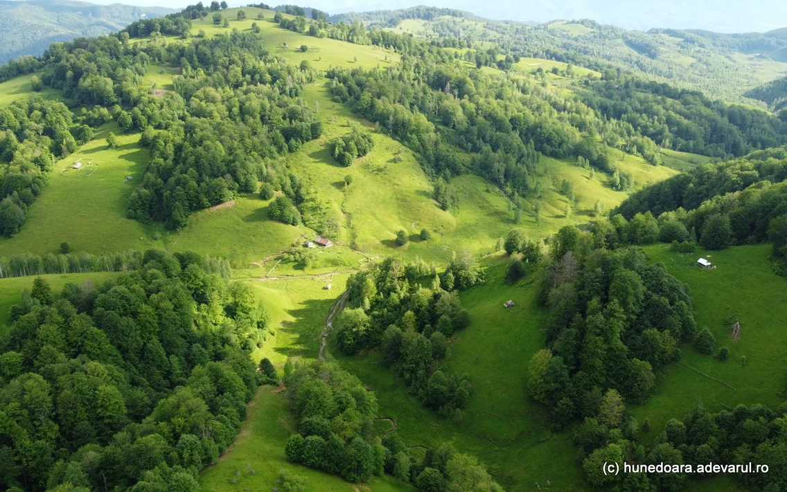 Parcul Natural Gradistea Muncelului la izvoarele ponorului Foto Daniel Guță 21 jpg