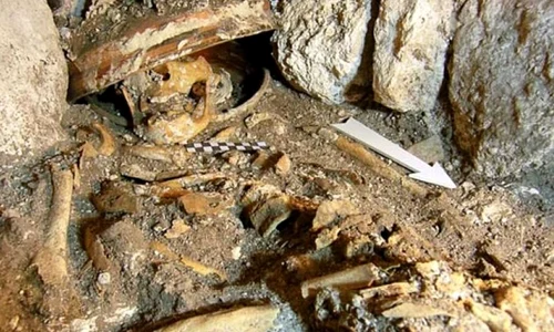 A fost descoperit mormântul unei regine mayaşe jpeg