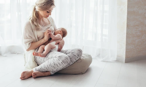 1 shutterstock 1052568779 jpg jpeg