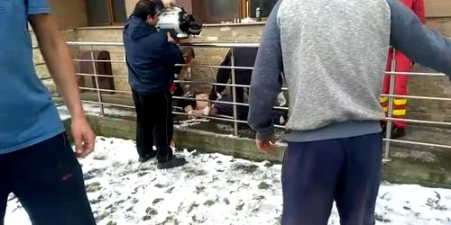 5c1e2197df52022f75c5f642 jpg