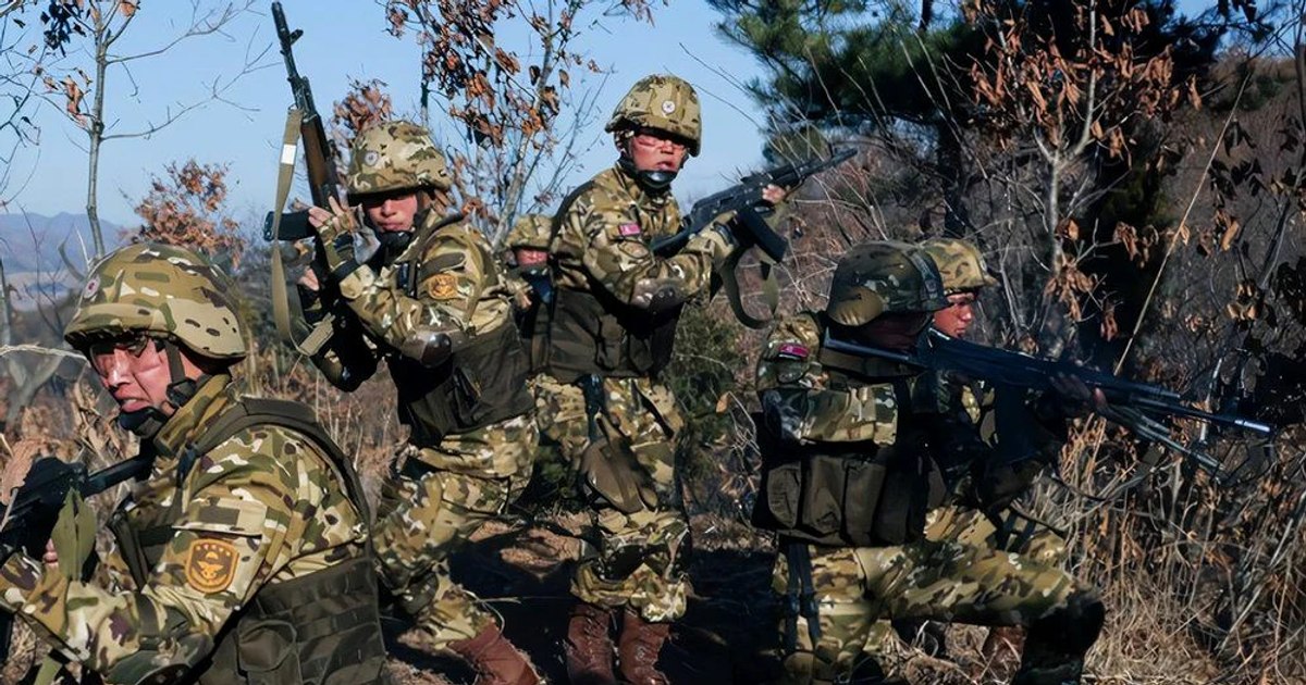 Trupele nord-coreene, desfășurate în Rusia: Putin confirmă prezența lor