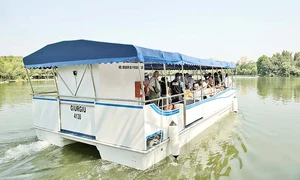 6 act 7337840 mediafax foto mihai dascalescu jpeg