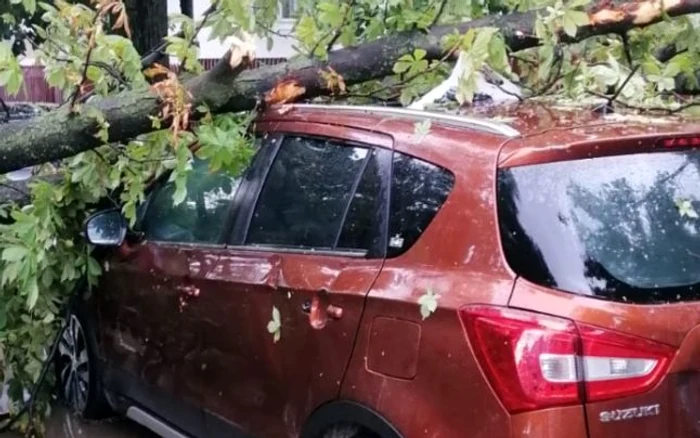 Un copac a căzut peste o maşină