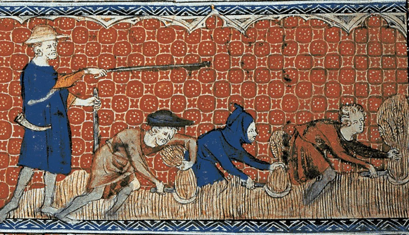 Țărani medievali recoltând grâul. Miniatură din Queen Mary's Psalter (© Wikimedia Commons)