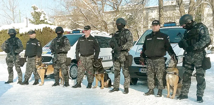 Sparky, Ron şi Mon sunt alţi câini ne nădejde de la SIAS