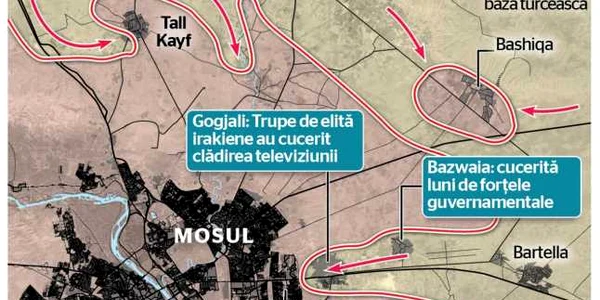 INFOGRAFIE MOSUL
