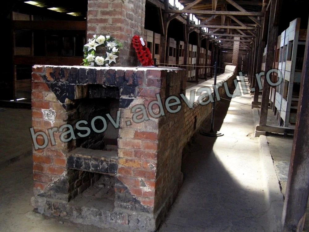 Auschwitz-ul, la 68 de ani de la Holocaust  Foto: Răzvan Florică