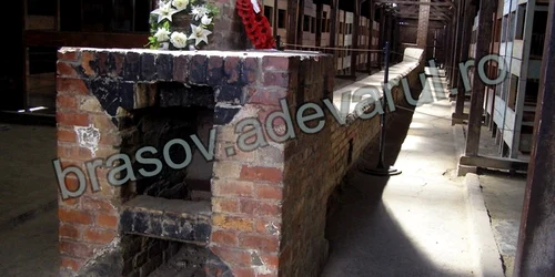 Auschwitz-ul, la 68 de ani de la Holocaust Foto: Răzvan Florică