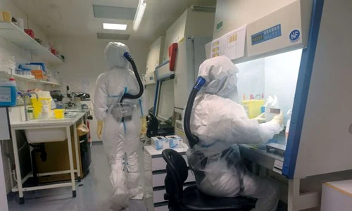 coronavirus jpeg