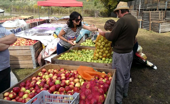 A pus merele în saci şi a umplut portbagajul