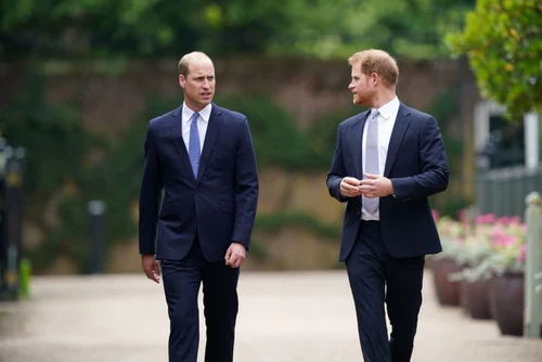 Prințul Harry și Prințul William