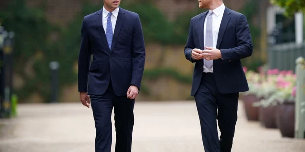 william harry statuie diana FOTO Dominic Lipinski - WPA Pool/Getty Images
