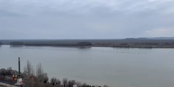insula dunare video mp4 thumbnail png