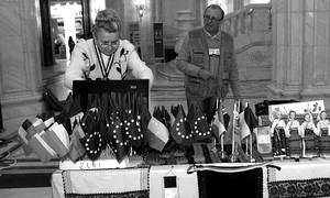 Noi cine sîntem? jpeg