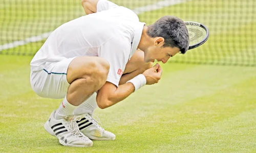 djokovici wimbledon jpeg