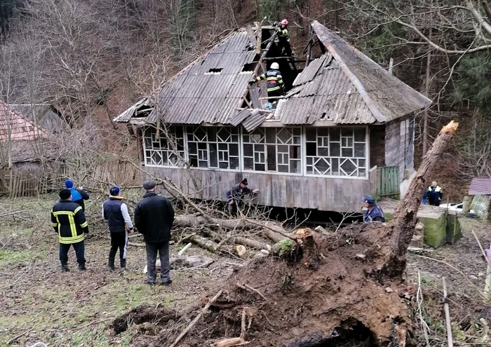 Pompierii au tăiat copacul FOTO ISU Alba