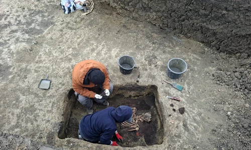 schelete flamanzi foto cosmin zamfirache (3) jfif