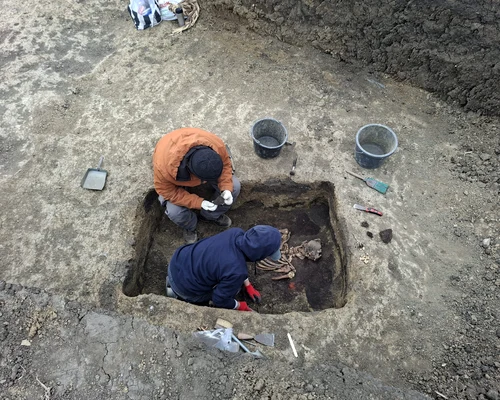 schelete flamanzi foto cosmin zamfirache (3) jfif