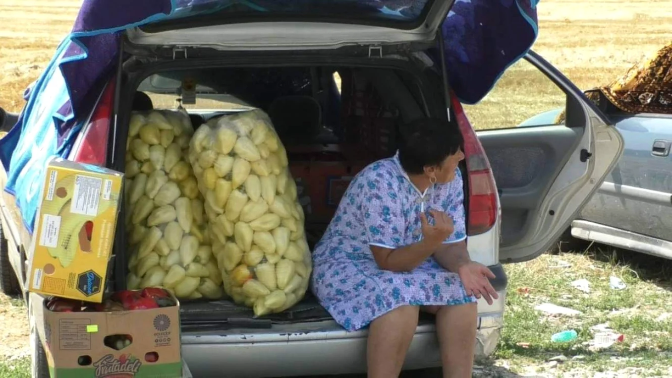 producătorii din olt îşi vând legumele pe nimic la piaţa engros de la doba