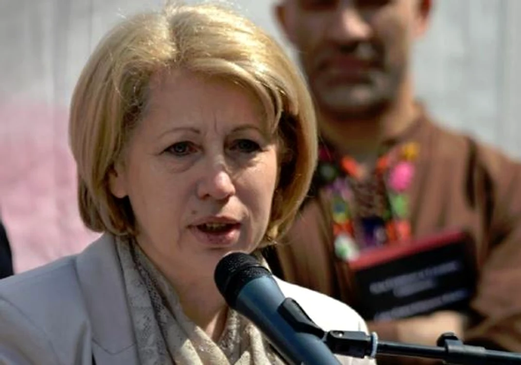 
    Aura Răducu a fost numită în funcție în noiembrie 2015  