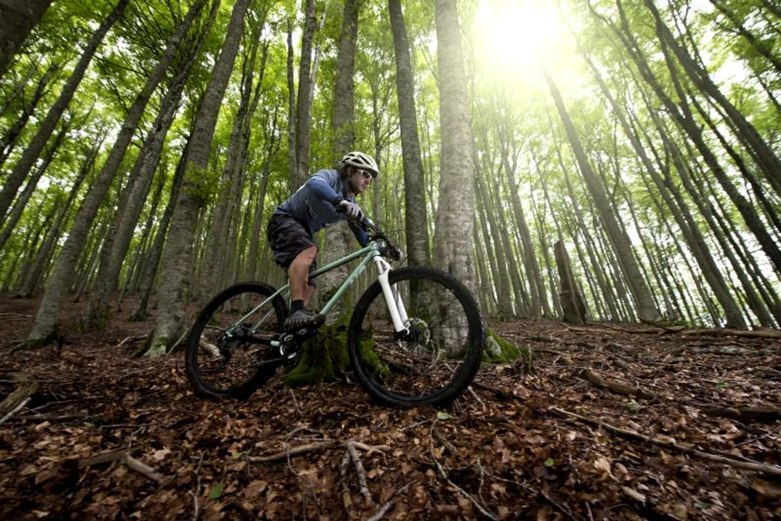 Pădurile sunt o destinție perfectă pentru o plimbare cu biciclata