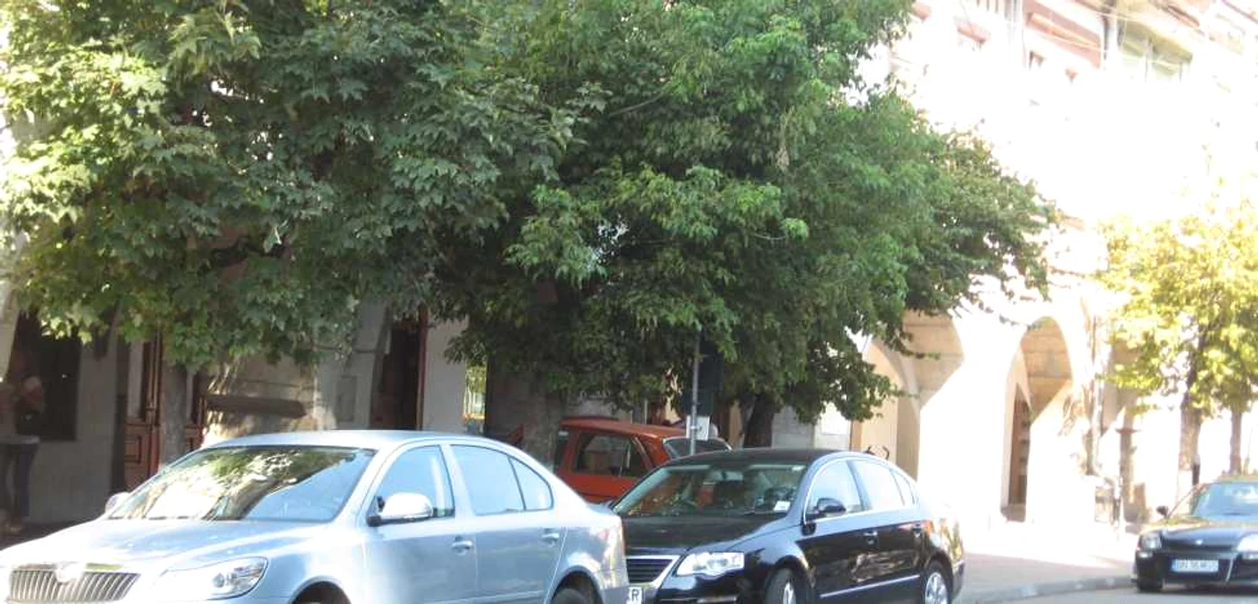 O parte dintre valutişti îşi fac traiul Sugălete