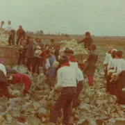 Munca patriotica jpeg