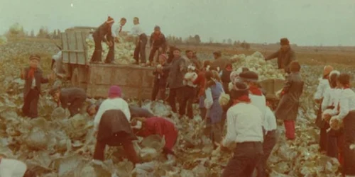 Munca patriotica jpeg