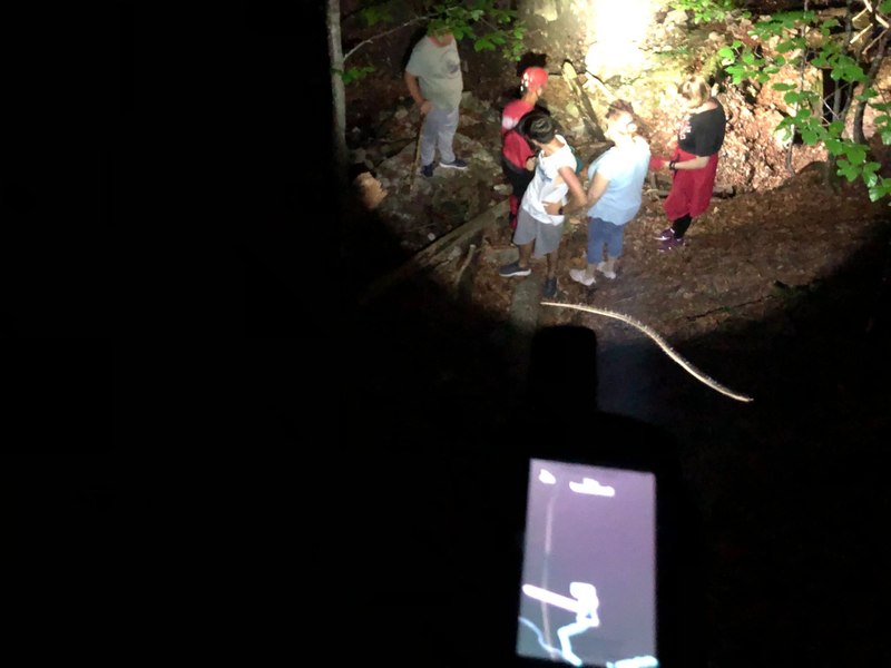 Patru turiști rătăciți pe munte, evacuați de salvamontiștii din Neamț. Unde au fost găsite cele patru persoane