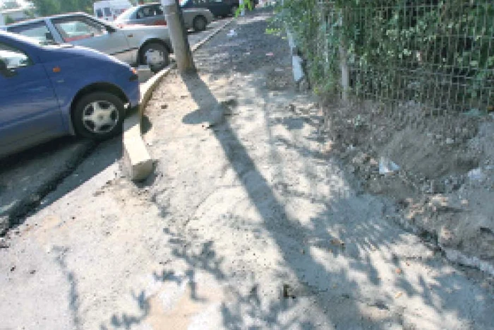 Muncitorii vor asfalta străzile secundare (Fotografii: Click!)