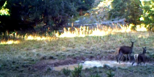 5a0439cc5ab6550cb8fc4609 jpg