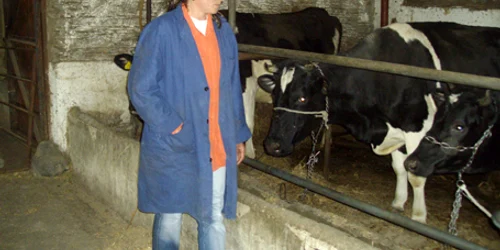 Dana Cojocariu a învăţat la ferme din Franţa să le pună muzică animalelor 