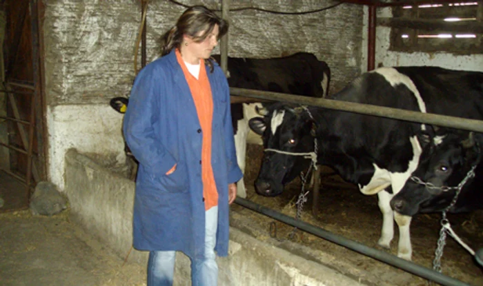 Dana Cojocariu a învăţat la ferme din Franţa să le pună muzică animalelor 