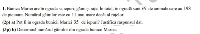 Problema pe care trebuia să o rezolve elevu FOTO: FB