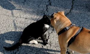 a meeting 4758388 1280 jpg